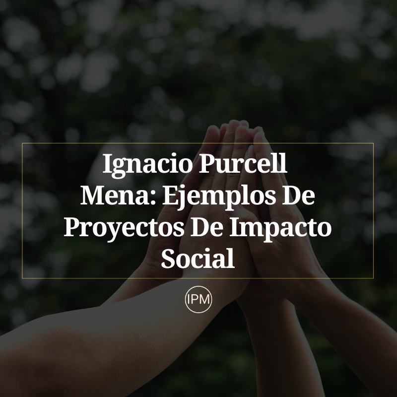 Ignacio Purcell Mena Ejemplos De Proyectos De Impacto Social