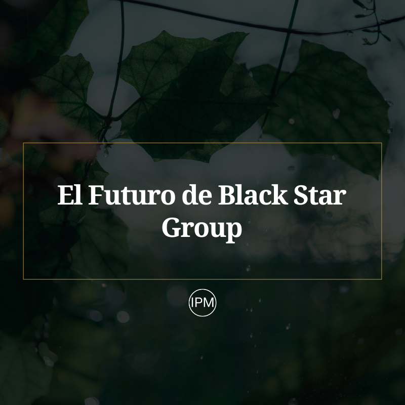 El Futuro de Black Star Group: Innovación, Sostenibilidad y Liderazgo. Ignacio Purcell Mena