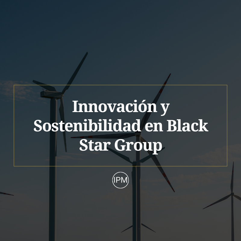 Innovación y Sostenibilidad en Black Star Group Ignacio Purcell Mena