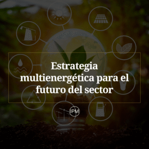 Estrategia multienergetica para el futuro del sector Ignacio Purcell Mena